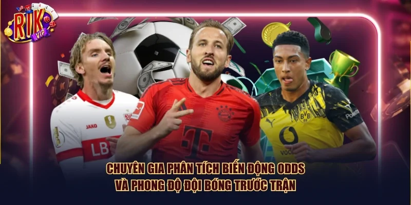 Chuyên gia phân tích biến động Odds và phong độ đội bóng trước trận